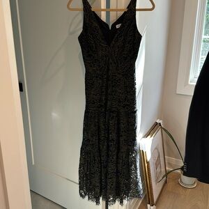 Dress the population lace dress